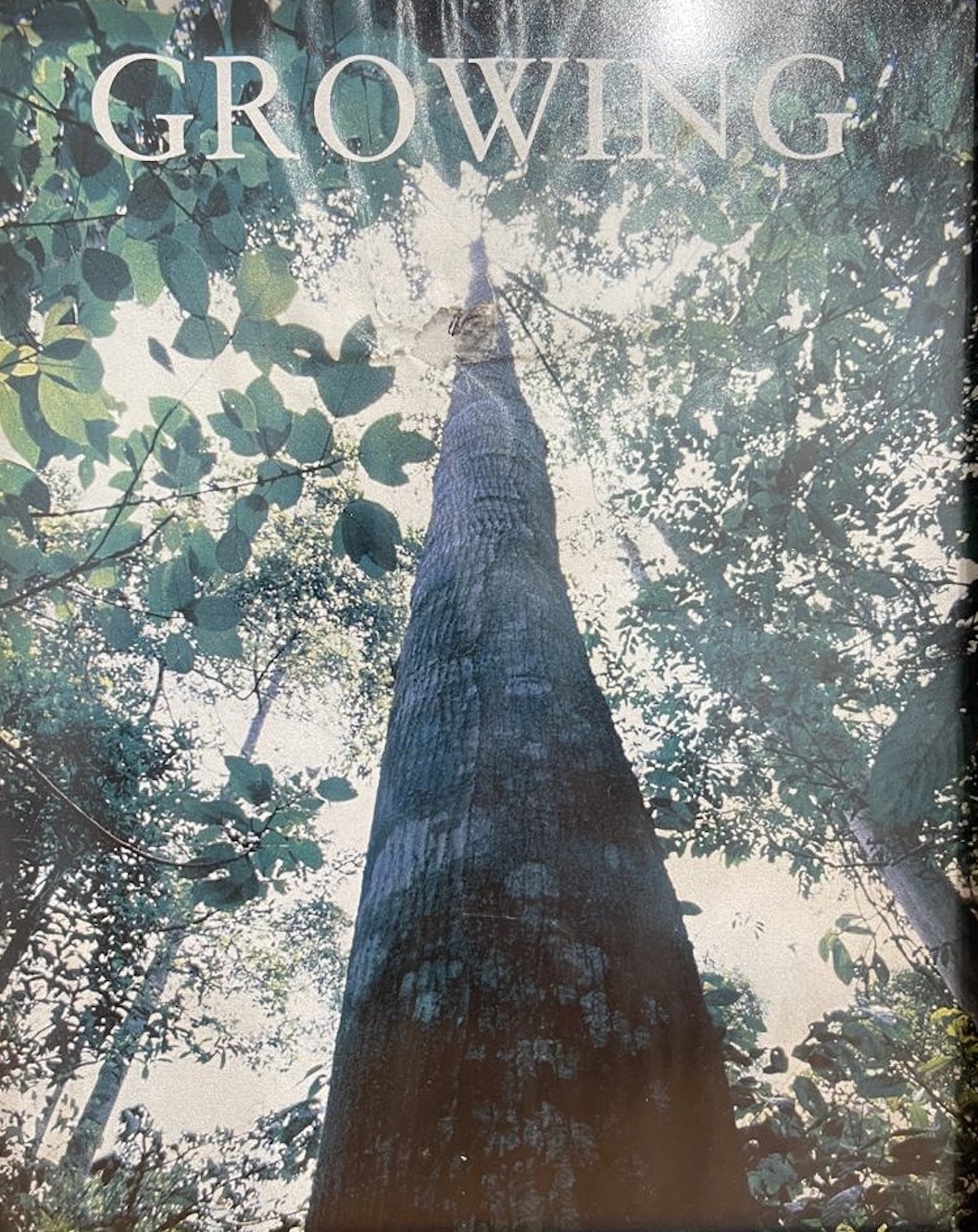PT. Wahana Karya Guna Teknologi - Growing with Nature